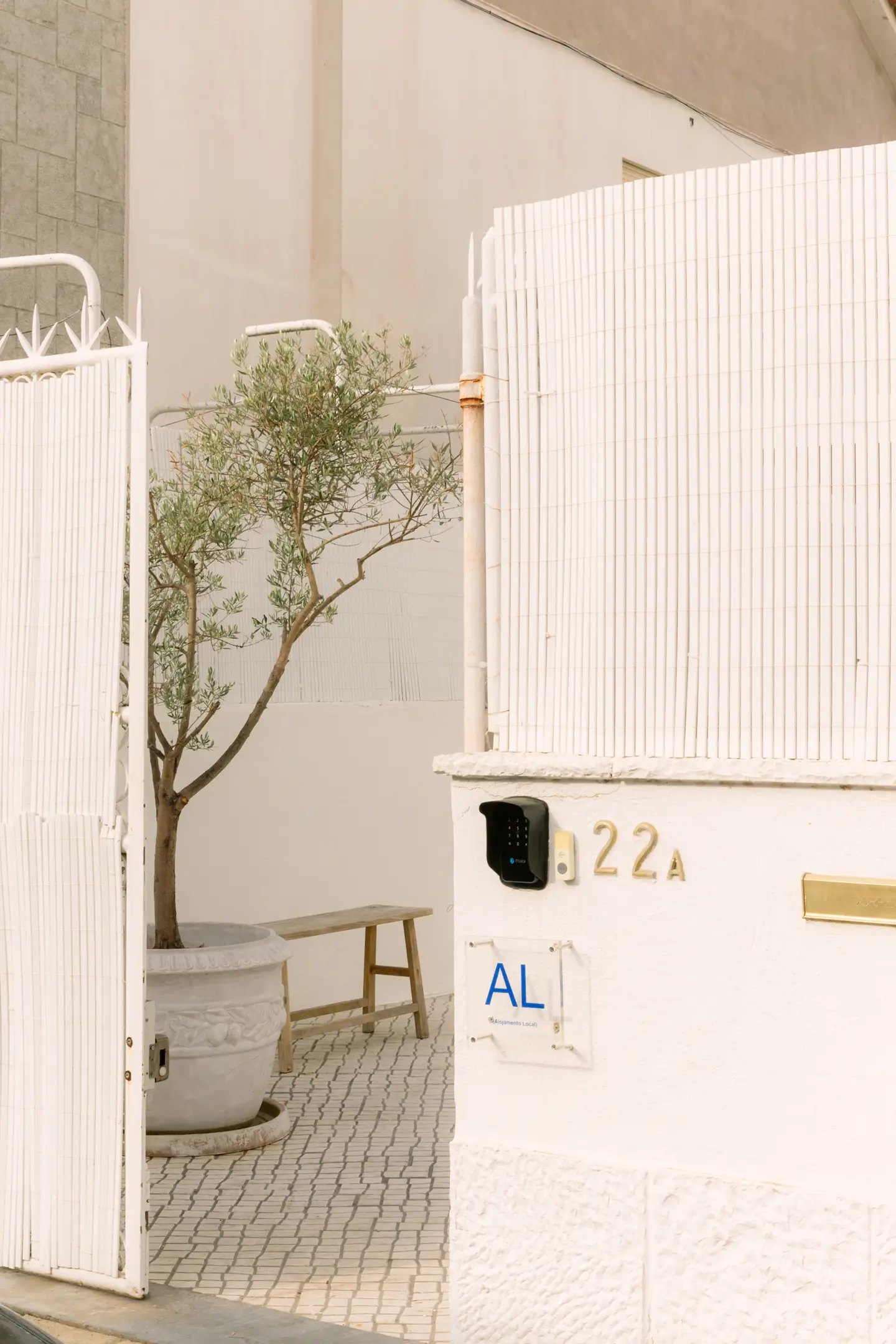 White entrance gate to the house, with a potted olive tree