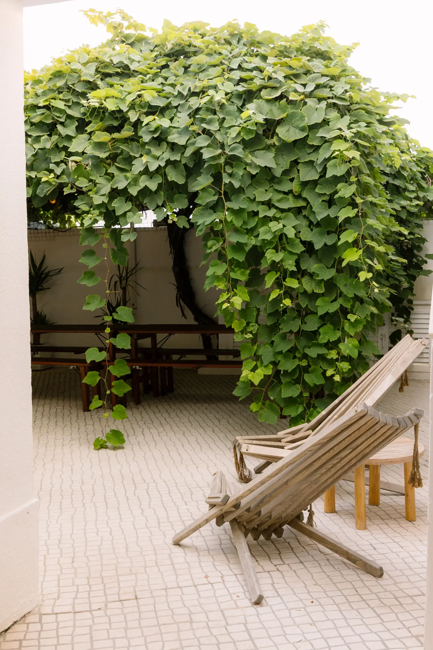 Sun lounger next to plants in the garden