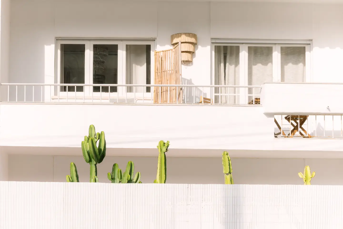 White facade of Casa Caparica with tall cacti