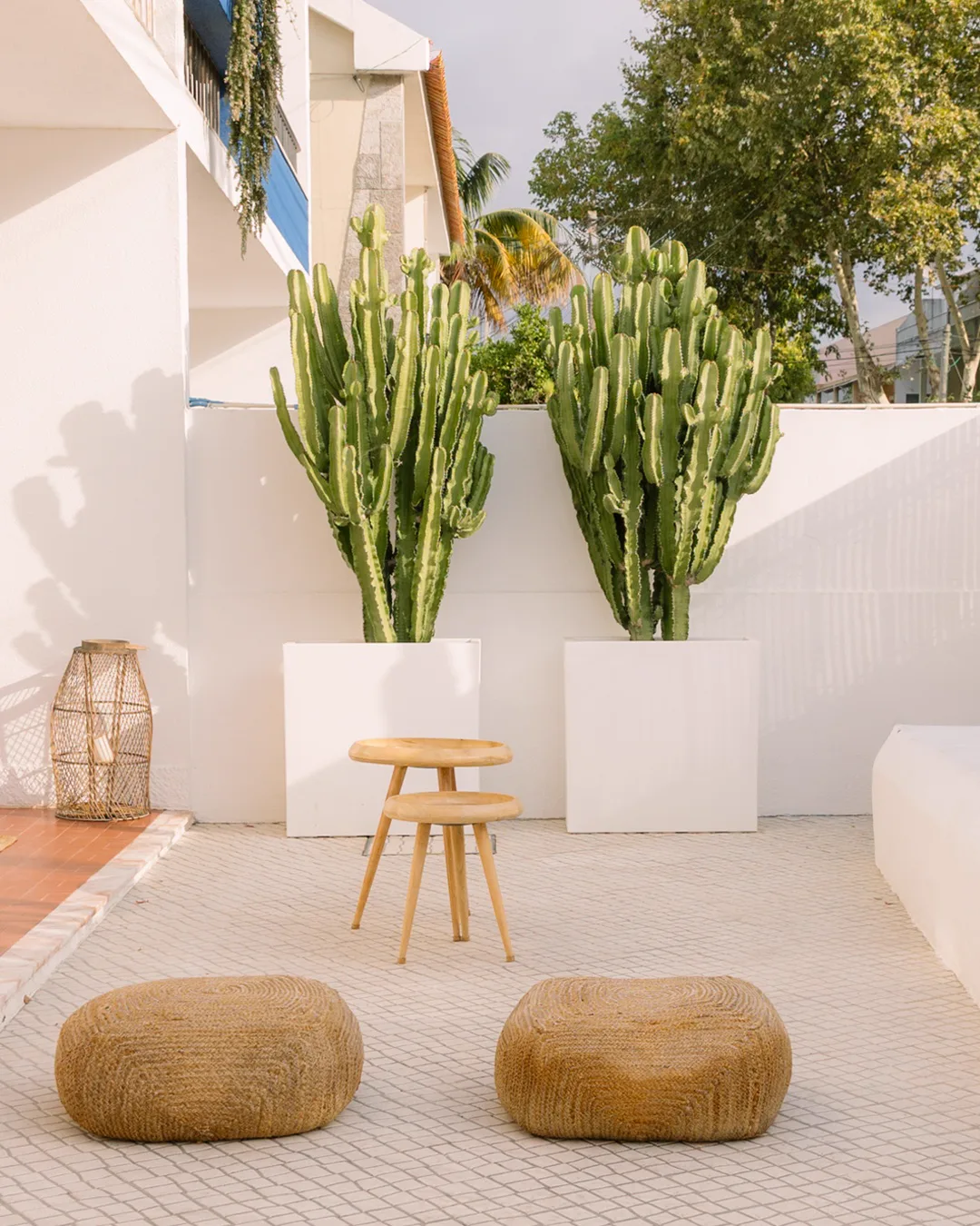 Outdoor lounge area with light cushions and plants
