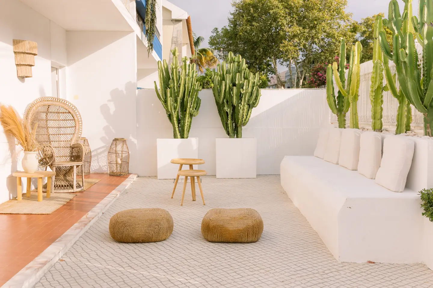 White outdoor lounge area with light cushions and tall cacti beside it