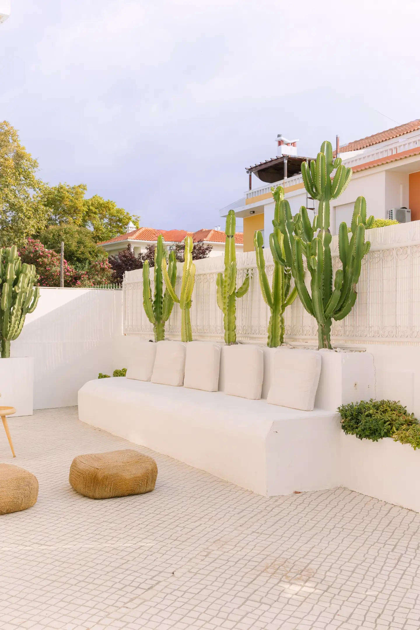 White wall with tall cacti silhouetted against the sky