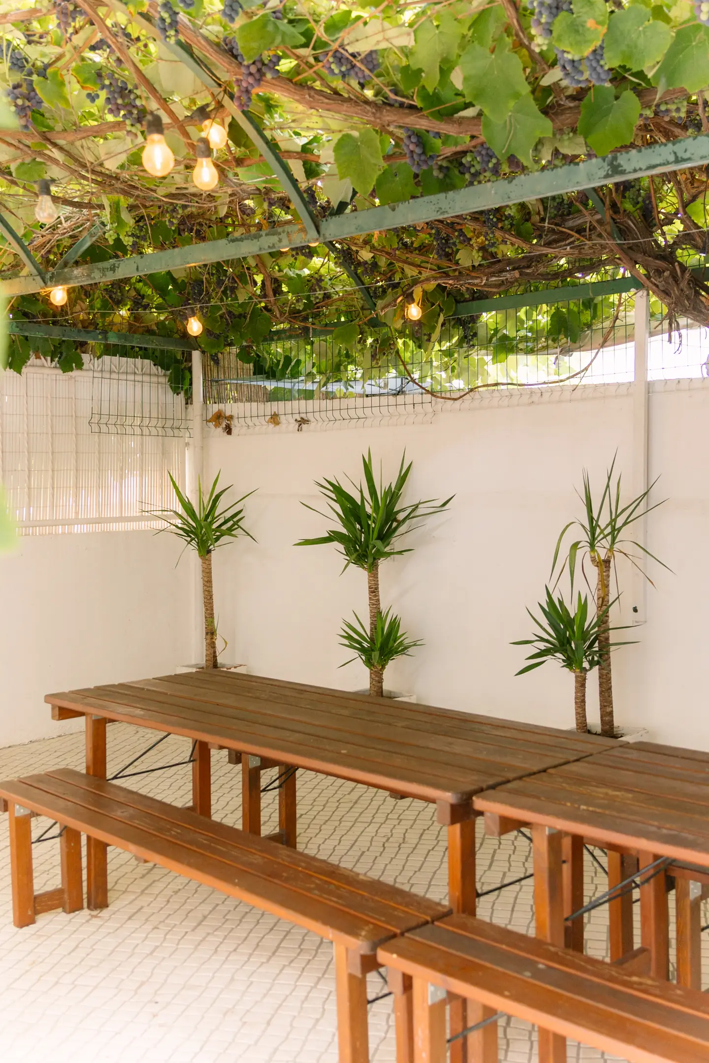 Mesa comprida sob a pérgola de videiras